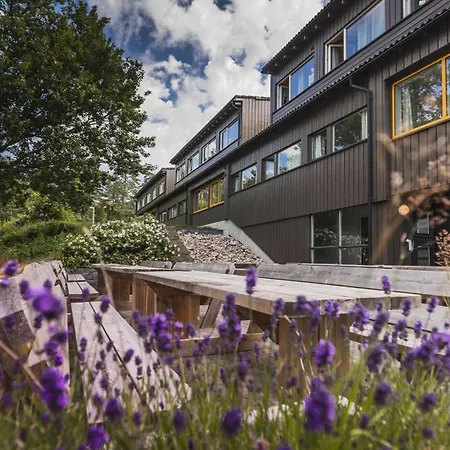 Ansgar Summerhotel Hotell 3*