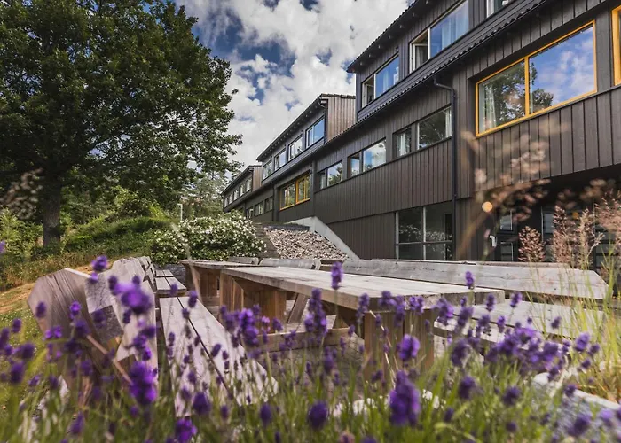 Ansgar Summerhotel מלון 3*